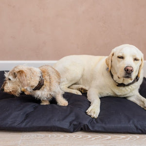 dog bed for two large dogs I dog beds for staffies I thermal bed for dogs