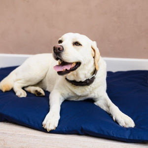 Settle beds for dogs I bedding for large dogs uk I sofa beds for dogs I  Large dog bed I Extra large dog beds