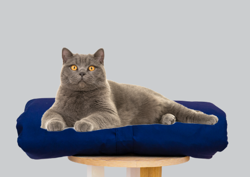 Cat bed I cat bed mat I cat duvet in navy blue