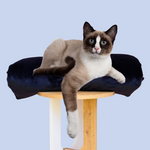 Cat bed for cats I fur cat bed I  luxury cat mattress bed  I cat duvet