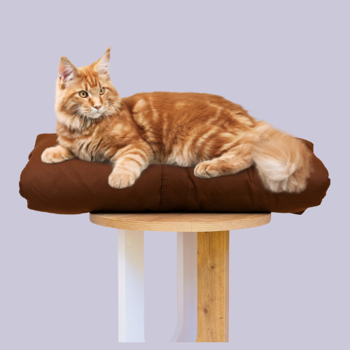 Cat bed I Cat bed for cats brown I Cats bedding