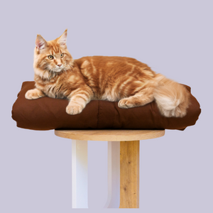 Cat bed I Cat bed for cats brown I Cats bedding