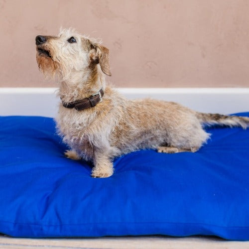 dog bed for a crate I dog bed for car I snuggle bed for dogs 