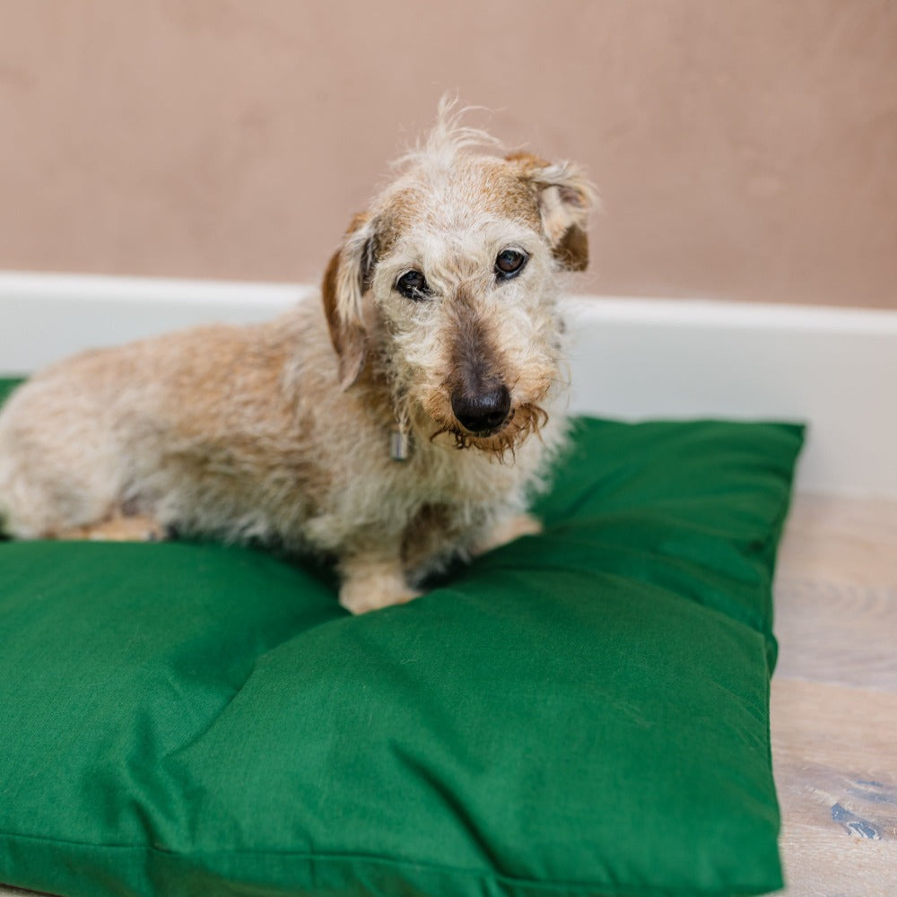 dog beds for anxiety I beds for small dogs I  dog bedding for sale
