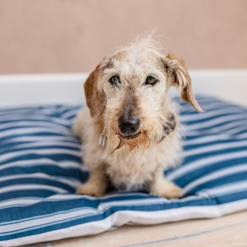 dog bed for crate I dog beds for anxiety I snuggle beds for dogs