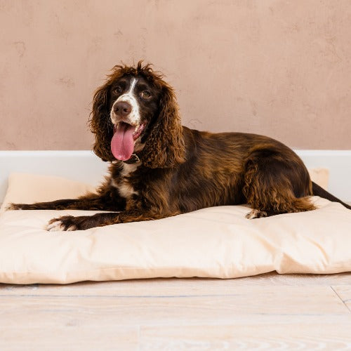 medium dog bedding for crate I Dog bed duvet I  crate mattress