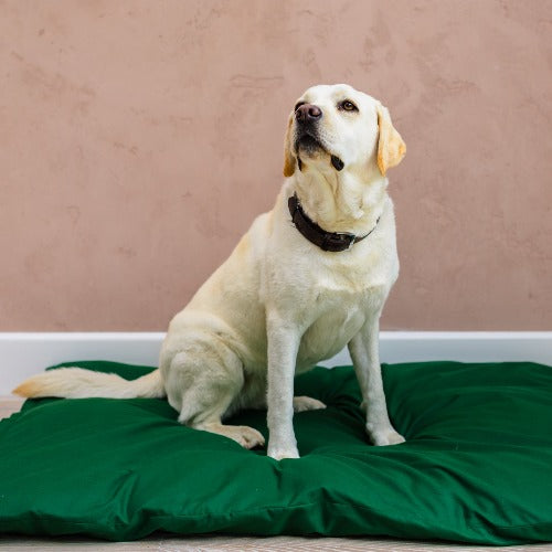 dog bed for labrador I snuggle beds for dogs I sofa bed for dogs