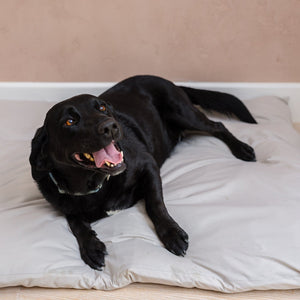 Settle mats for large dogs I covers for dog beds I dog beds for cars