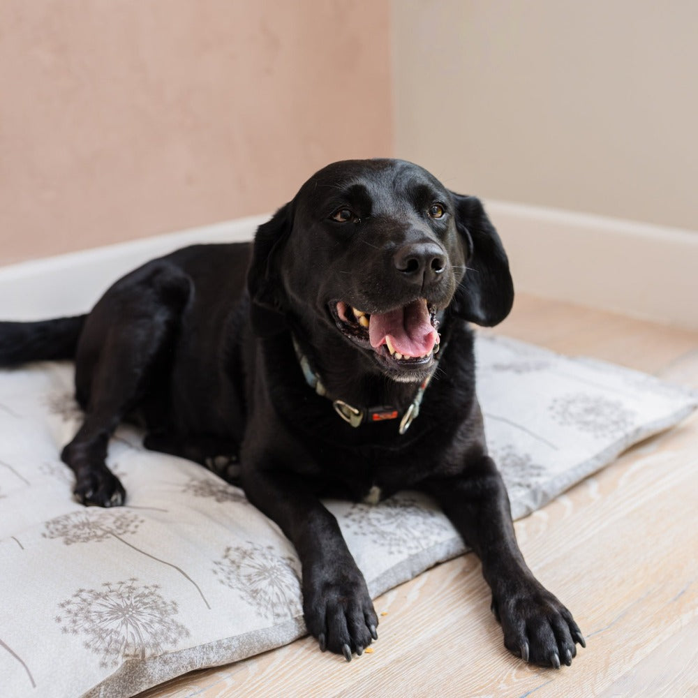 dog beds for large dogs I dog beds for crates I best beds for labradors