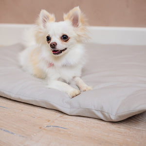 dog beds for small dogs I small dog beds I  small dog bed