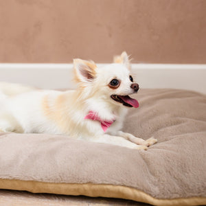 sofa beds for dogs I snuggle beds for dogs I chair bed for dogs