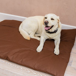 duvet for dogs I dog bed for car I calming mattress for dogs